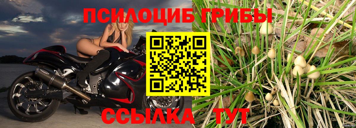 продажа наркотиков  Вход с VPN  Куйбышев  Галлюциногенные грибы мицелий 